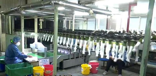 張店 堅決打贏疫情防控阻擊戰