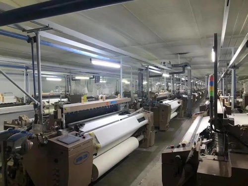 高密 服務(wù)企業(yè)就是構(gòu)建城市未來，打造政企命運(yùn)共同體的防護(hù)用品生產(chǎn)新篇章