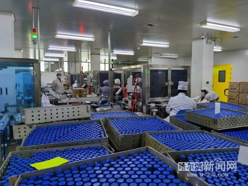 保供抗疫藥品，哈藥復(fù)工防護用品生產(chǎn)迎挑戰(zhàn)